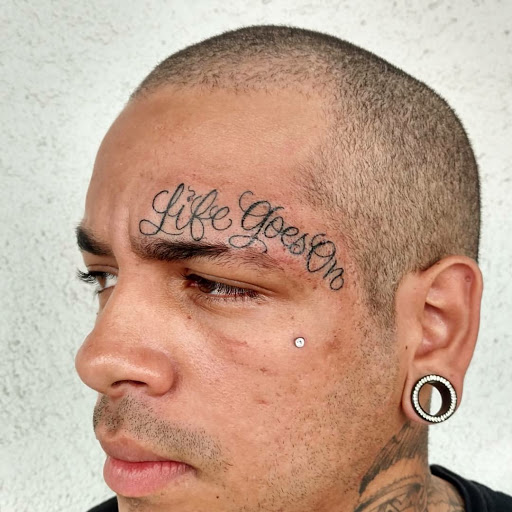 Explore sand dollar tattoo ideas, creative tattoo ideas in Florissant, available at St. Louis Ink