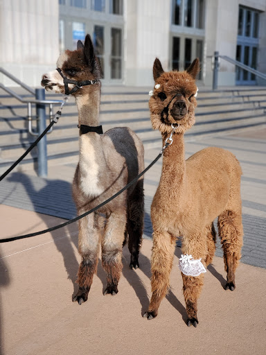 Performing Arts Theater «Civic Center Music Hall», reviews and photos, 201 N Walker Ave, Oklahoma City, OK 73102, USA