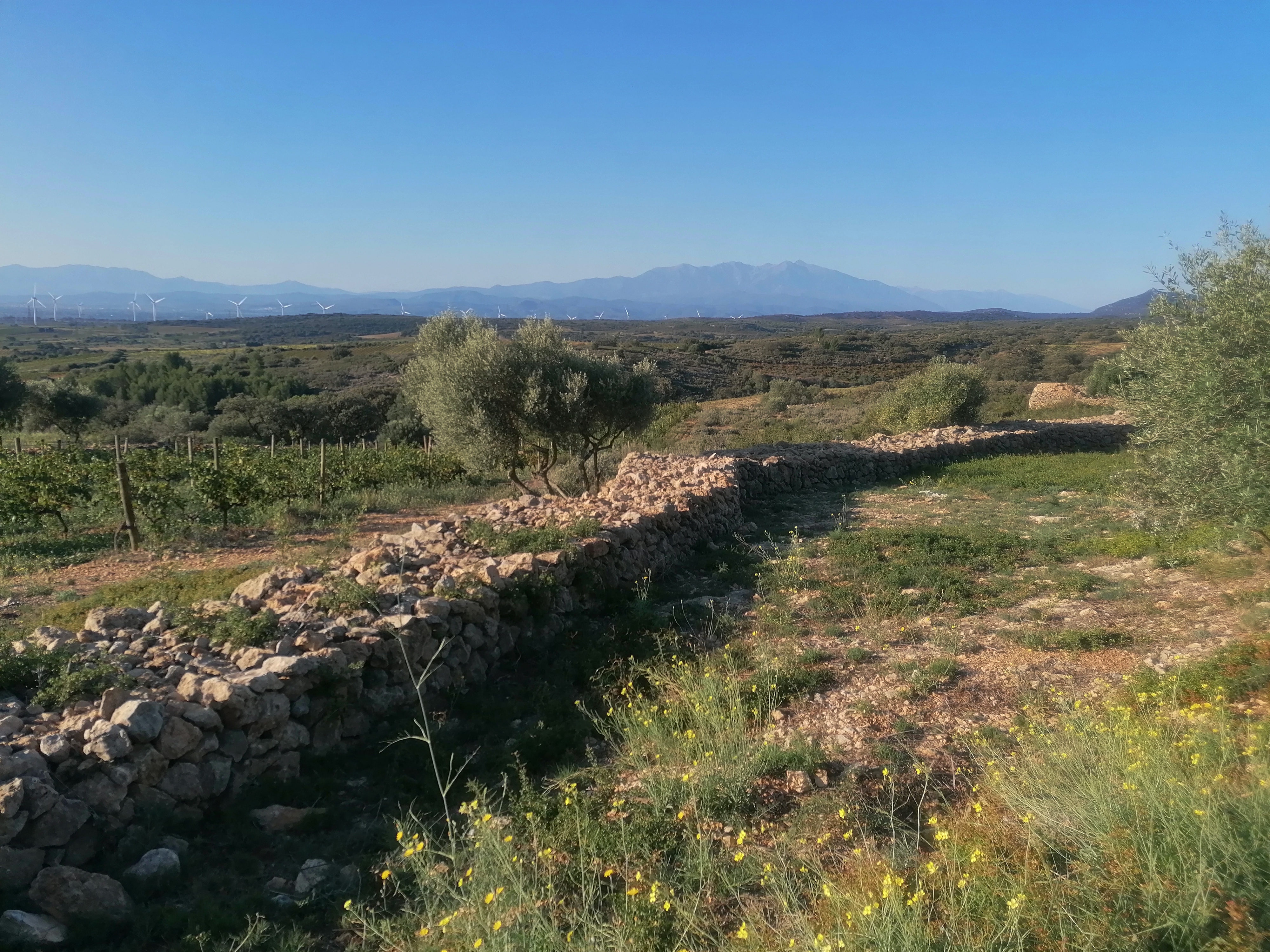 Photo n° 4 de l'avis de alvyda. fait le 06/10/2023 à 10:25