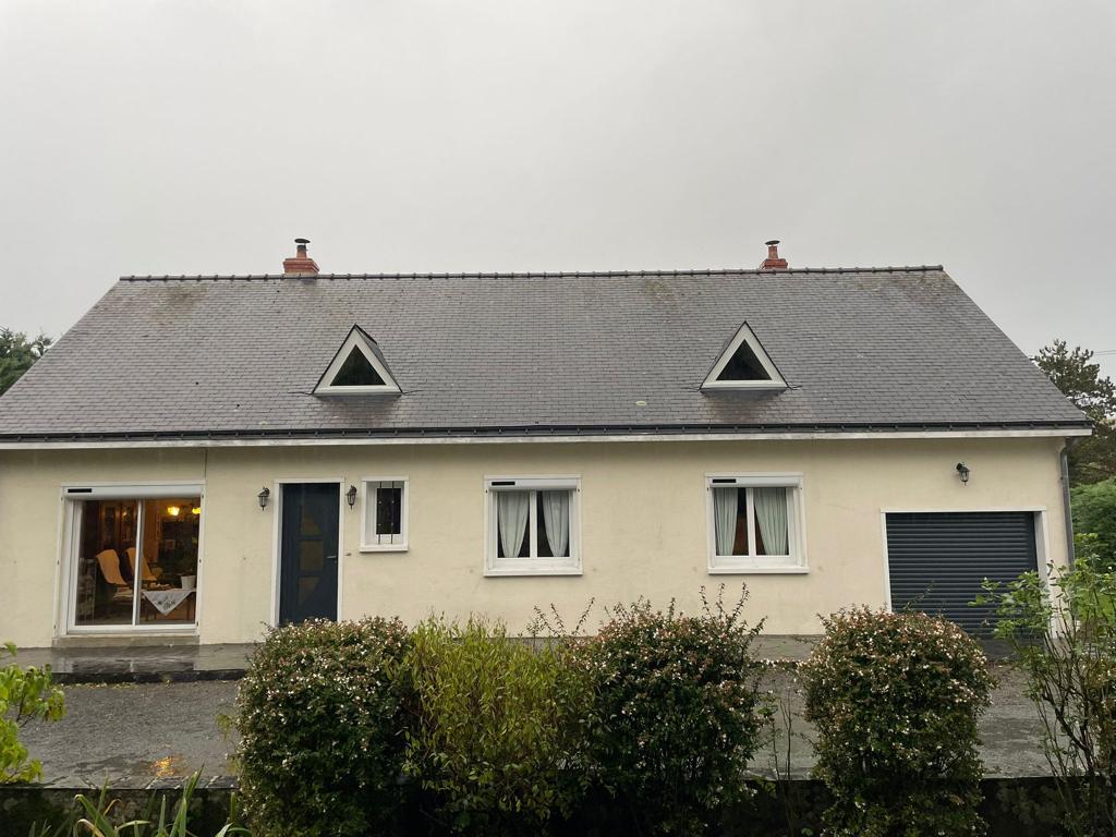 Photo n° 2 de l'avis de LOISEAU.e fait le 29/10/2023 à 11:58