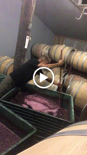 Winery «Barking Rocks Vinyard & Winery», reviews and photos, 1919 Allen Ct, Granbury, TX 76048, USA