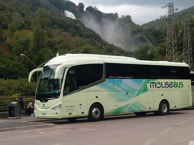Molise bus