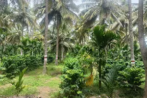 SriHari Farm image