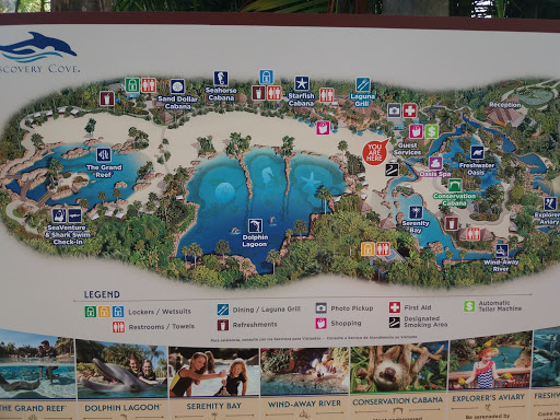 Water Park «Discovery Cove», reviews and photos, 6000 Discovery Cove Way, Orlando, FL 32821, USA
