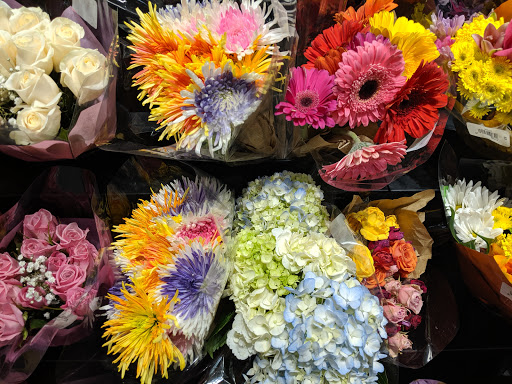 Grocery Store «Food Lion», reviews and photos, 14054 Timber Way, Timberville, VA 22853, USA