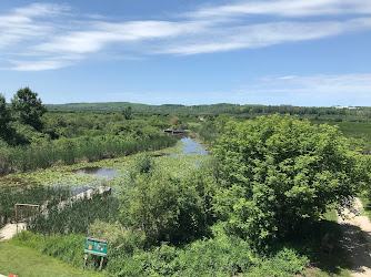 Wye Marsh Wildlife Centre