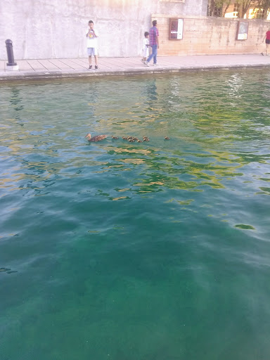 Wedding Venue «CANAL 337», reviews and photos, 337 W 11th St, Indianapolis, IN 46202, USA