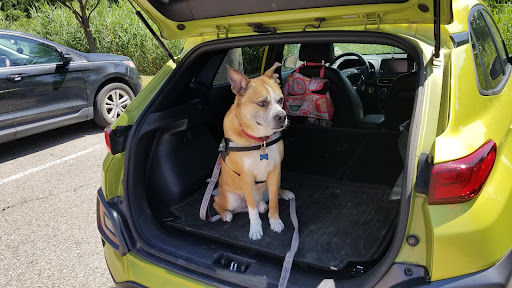 Pet Supply Store «PetSmart», reviews and photos, 47142 Michigan Ave, Canton, MI 48188, USA