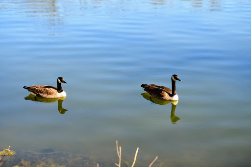 Zoo «Mesker Park Zoo», reviews and photos, 1545 Mesker Park Dr, Evansville, IN 47720, USA