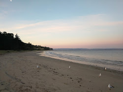 Photo of Roches Beach and the settlement