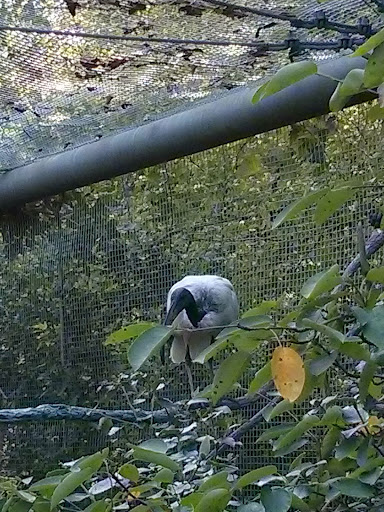 Golf Club «Muirfield Village Golf Club», reviews and photos, 5750 Memorial Dr, Dublin, OH 43017, USA