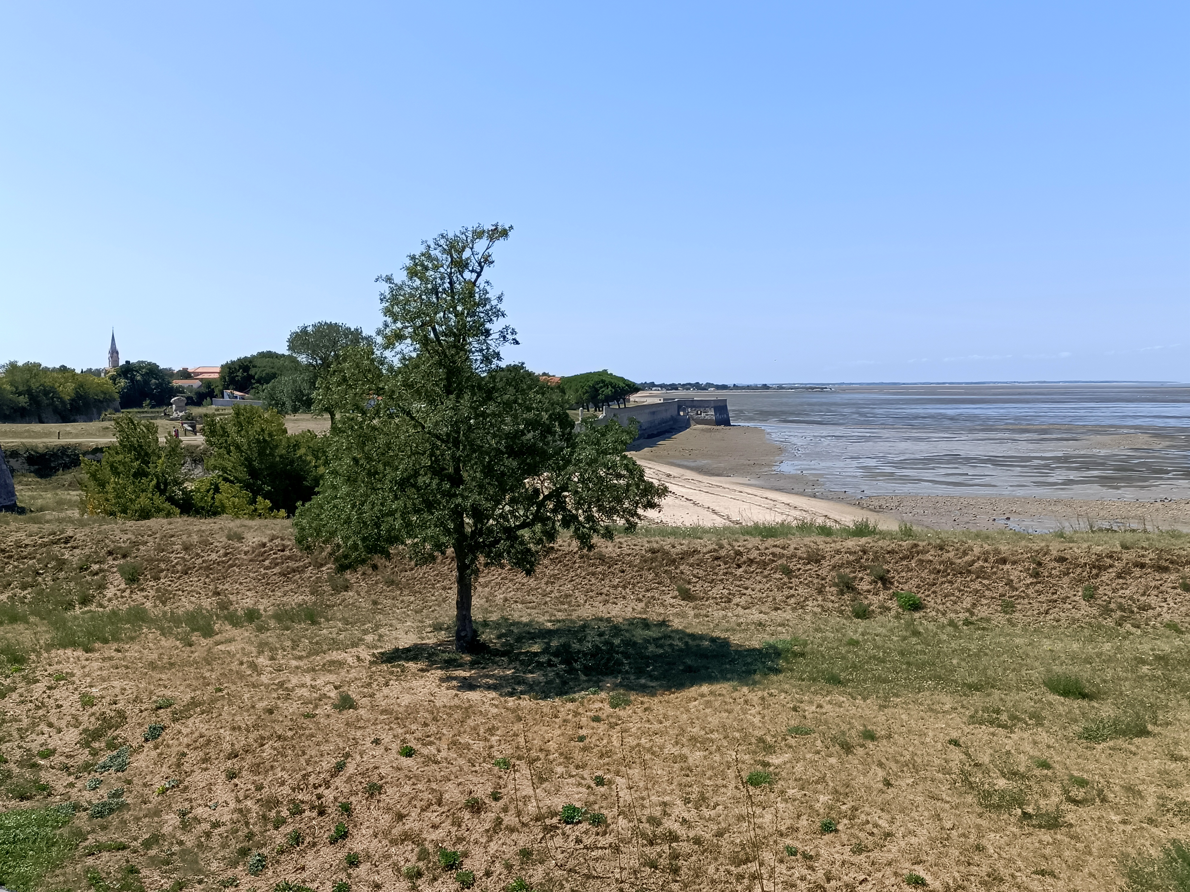 Photo n° 2 de l'avis de Florian.a fait le 23/07/2022 à 10:04