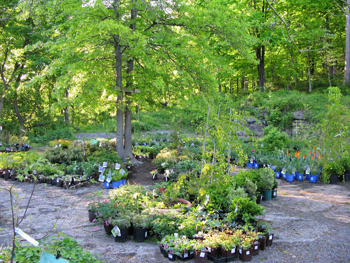 Garden Center «Victoria Gardens», reviews and photos, 1 Cottekill Rd, Rosendale, NY 12472, USA