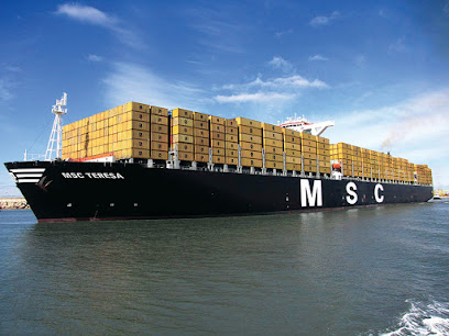 Mediterranean Shipping Co
