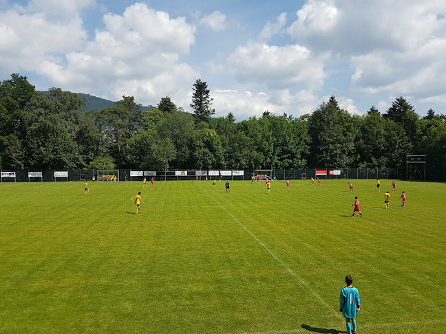 Rezensionen über FC Evilard / FC Leubringen in Biel - Sportstätte