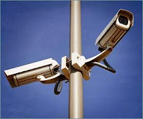 AFL Network Services