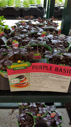 Discount Store «Kmart», reviews and photos, 252 Main St, Acton, MA 01720, USA