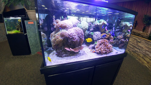 Aquarium «Aquarium World», reviews and photos, 13157 Northwest Fwy, Houston, TX 77040, USA