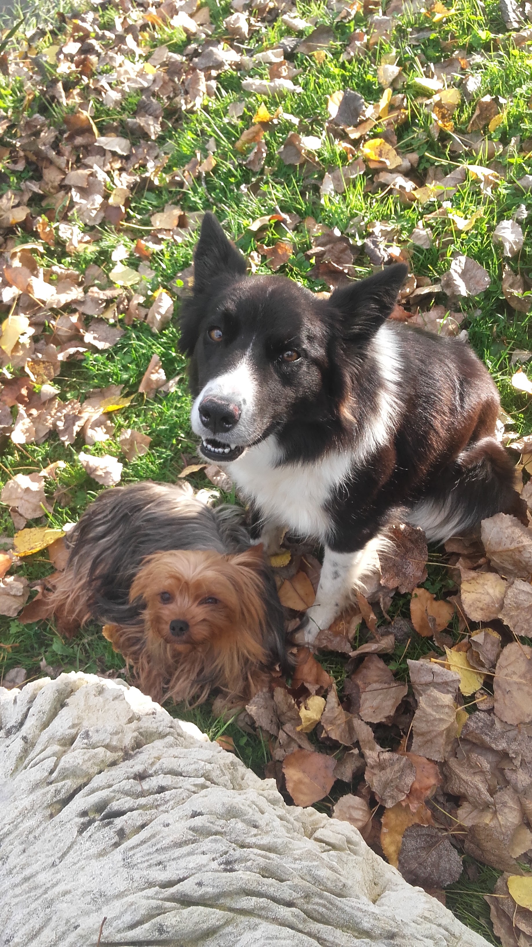 Photo n° 4 de l'avis de Matthias.A fait le 16/03/2019 à 14:54