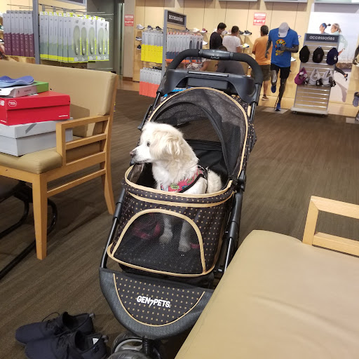 Shoe Store «New Balance», reviews and photos, 270 S Arroyo Pkwy, Pasadena, CA 91105, USA