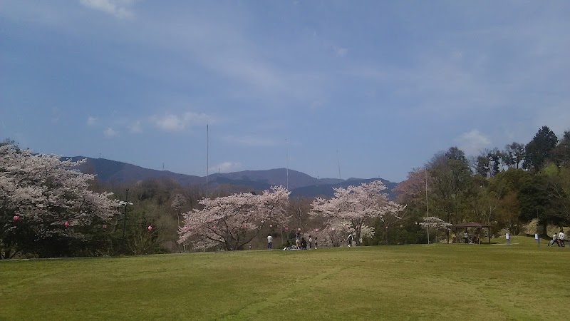 大垣市かみいしづ緑の村公園