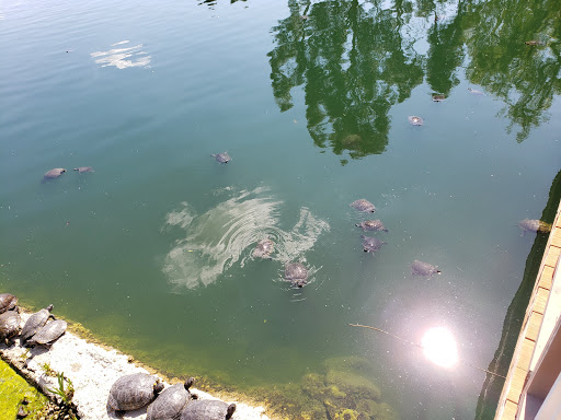 Park «Bridgeport Park», reviews and photos, 23520 Bridgeport Ln, Santa Clarita, CA 91355, USA