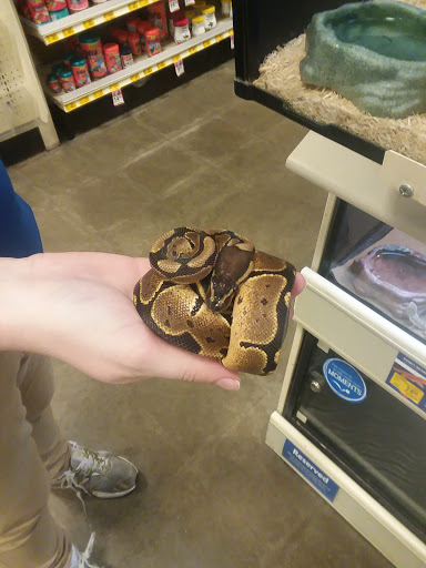 Pet Supply Store «PetSmart», reviews and photos, 3211 Peoples St, Johnson City, TN 37604, USA