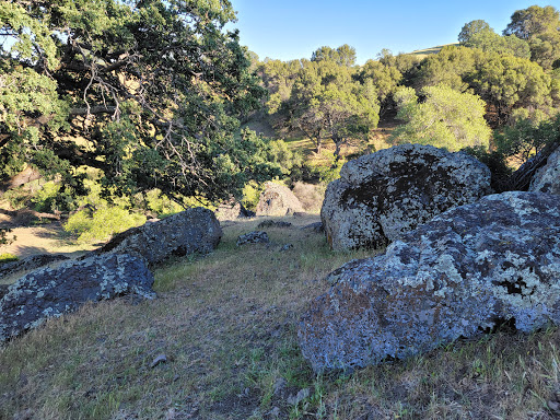 Browns Valley Open Space Preserve