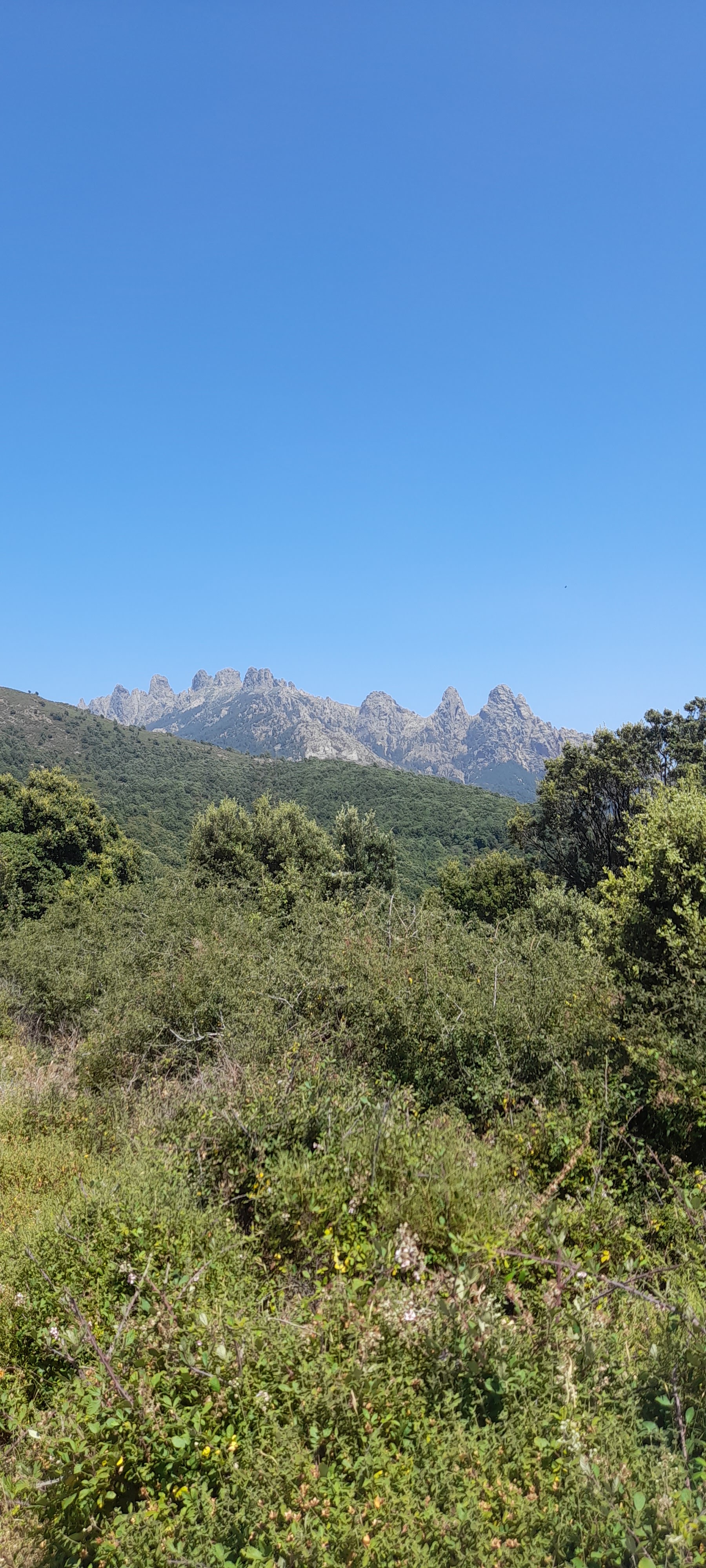 Photo n° 2 de l'avis de Thibault.E fait le 22/07/2023 à 11:07