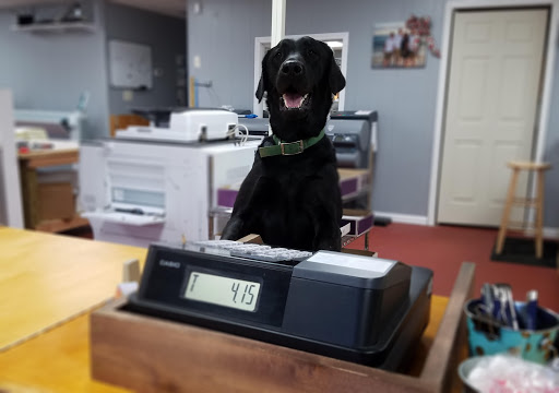 1129 Trotwood Ave #1, Columbia, TN 38401, USA