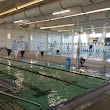 Rio Rancho Aquatic Center