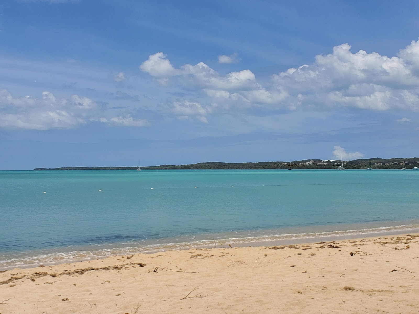 Fotografija Playa Tanga z dolg zaliv