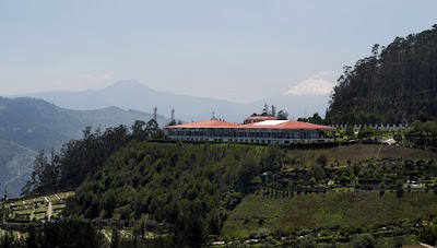 Photos of Camposanto Monte Olivo