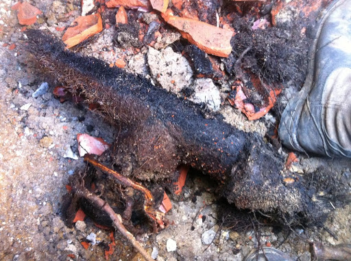 Plumber «Fixxer Company Plumbing - Drain Cleaning | Slab Leak Repairs | Leak Detection & Sewer Lines», reviews and photos, 1124 S Sam Houston Rd, Mesquite, TX 75149, USA