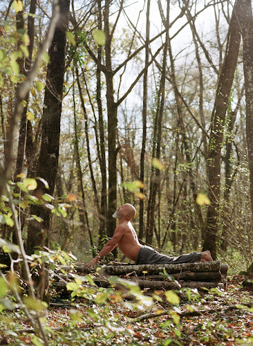 Opinii despre Haute École Internationale de SunDo - Nicolas TACCHI în Nancy - Centre de yoga