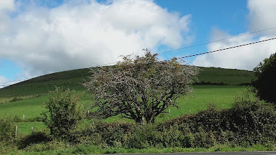 La Roulière à Montpeyroux