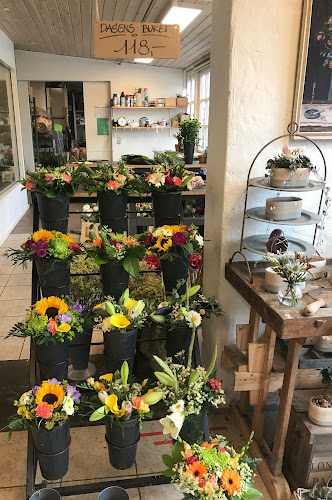 Anmeldelser af Overlund Blomster og Brugskunst i Randers - Blomsterbutik