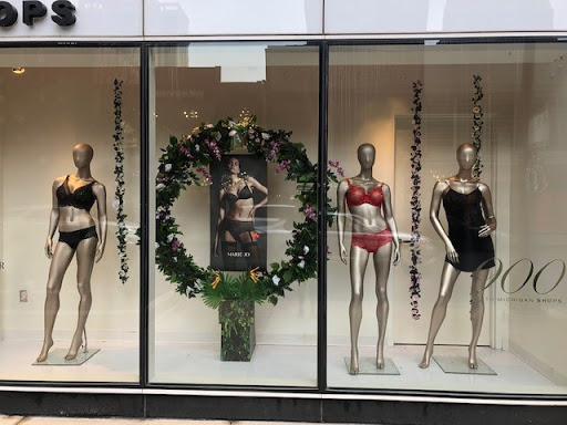 Lingerie Store «Rigby & Peller», reviews and photos, 900 N Michigan Ave L3-7, Chicago, IL 60611, USA