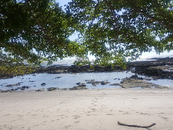 Photo de Manzanillo beach avec un niveau de propreté de très propre