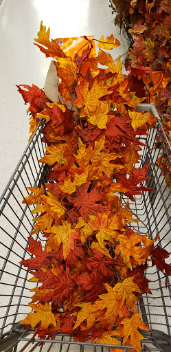 Craft Store «Hobby Lobby», reviews and photos, 1136 Boardman Poland Rd, Youngstown, OH 44514, USA