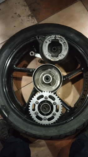 Black Sheep Custom Garage - Melipilla