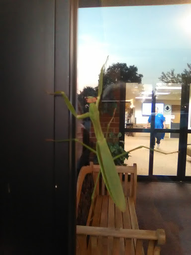 Park «Trinity Center At Luther Park», reviews and photos, 1555 Hull Ave, Des Moines, IA 50316, USA