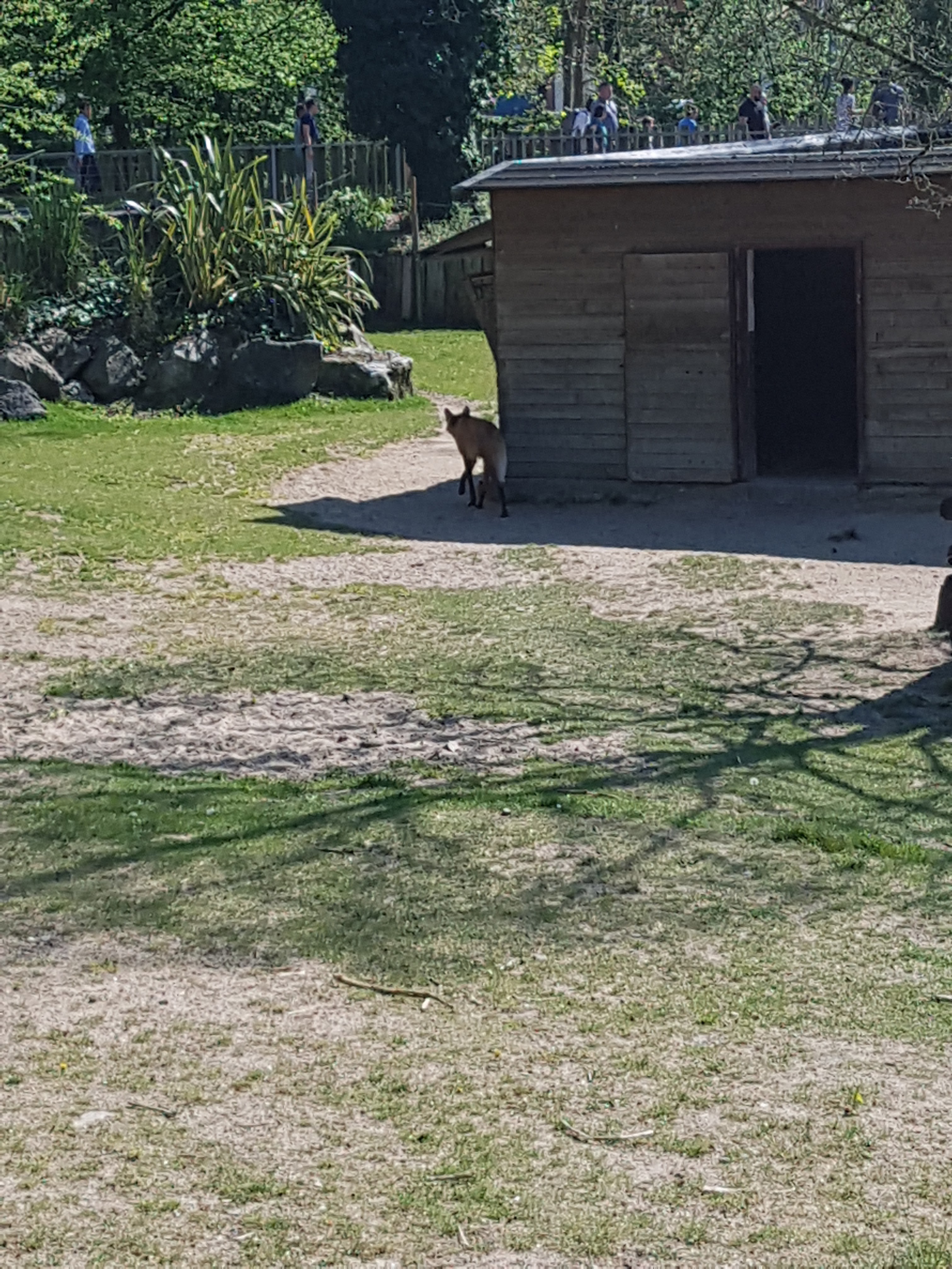 Photo n° 19 de l'avis de Celia.a fait le 30/04/2019 à 08:20