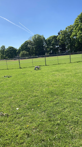 Park «Powell Park», reviews and photos, SE 26th Ave & Powell Blvd, Portland, OR 97202, USA