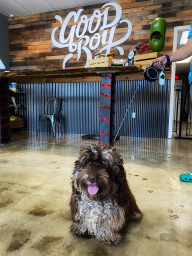 Good Boy Pet Care & Nutrition