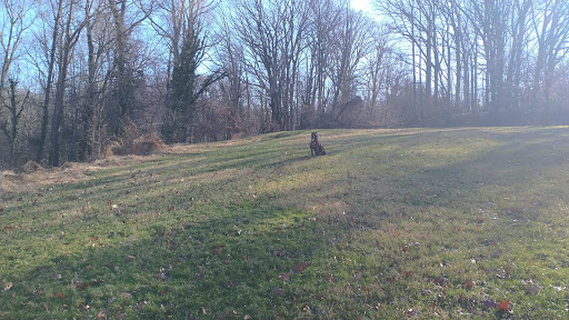 Park «Fort Circle Park», reviews and photos, Minnesota Ave SE, Washington, DC 20019, USA