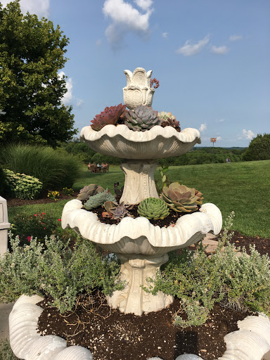 Winery «Balducci Vineyards», reviews and photos, 6601 S Missouri 94, Augusta, MO 63332, USA