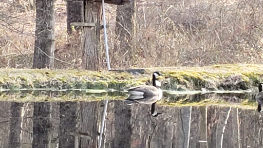 Nature Preserve «Whittemore Wildlife Sanctuary», reviews and photos, 7 Rockaway Rd, Whitehouse Station, NJ 08889, USA