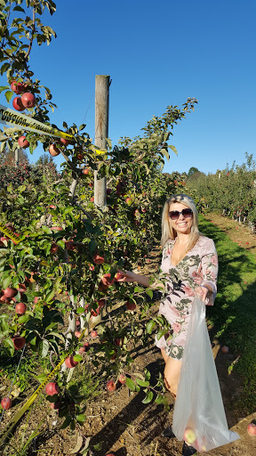 Produce Market «Parks Farms», reviews and photos, 525 NJ-24, Chester, NJ 07930, USA