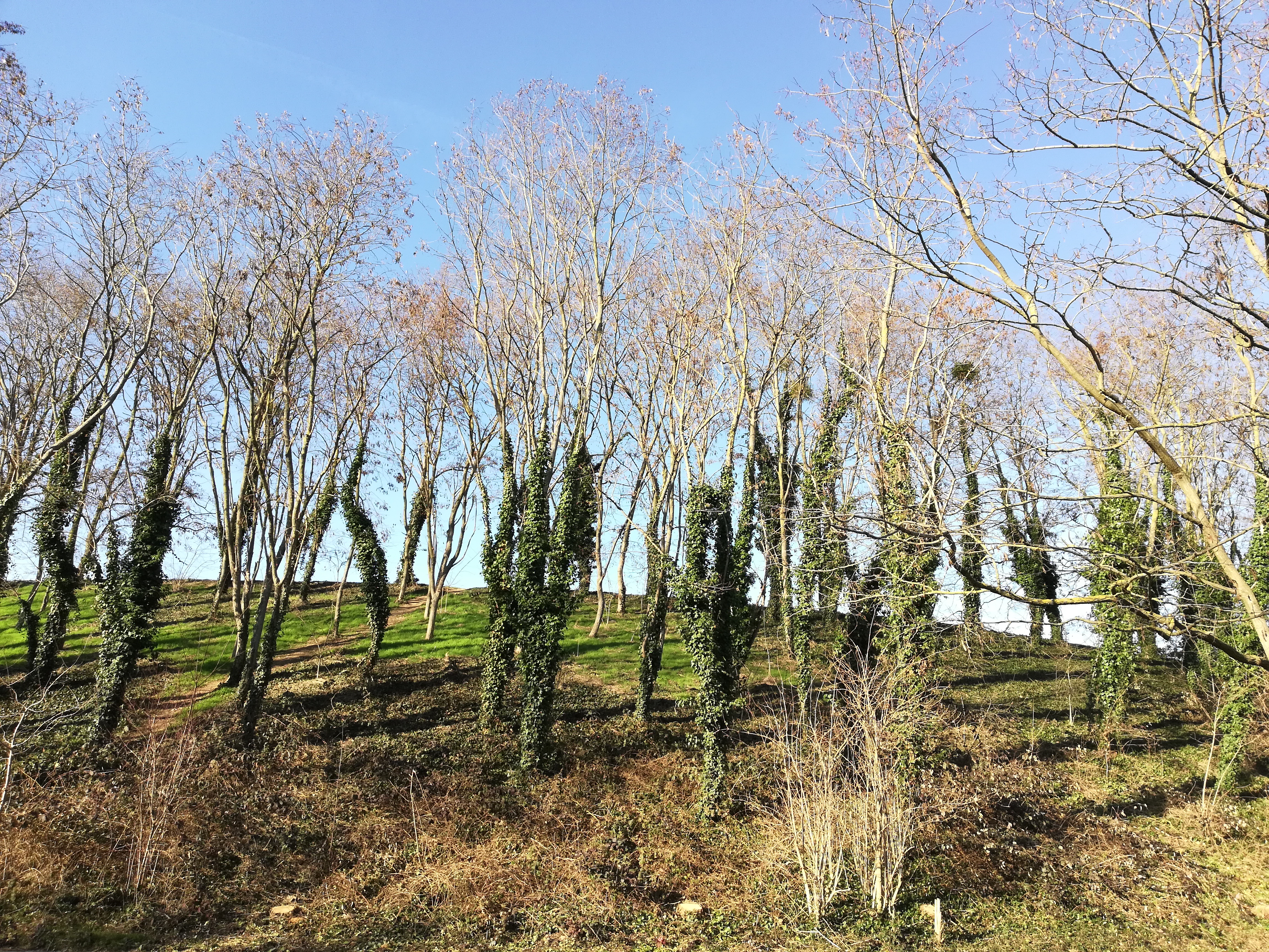 Photo n° 1 de l'avis de Jean-Michel.l fait le 19/02/2019 à 03:04